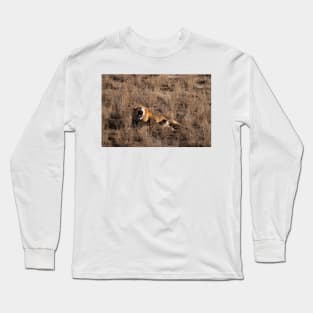 Lions Roar Long Sleeve T-Shirt